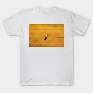 cli green hummingbird T-Shirt